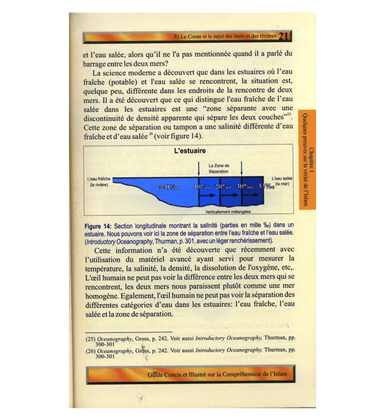 (French)A Brief Illustrated Guide to understand Islam (Guide Concis Et Illustre Sur La Comprehension De L’Islam)