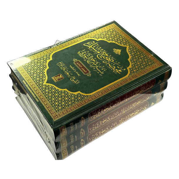 Mukhtasar Sahih Muslim Arabic Only Bi tayseer Sharah Al Nawawi 3 vol set