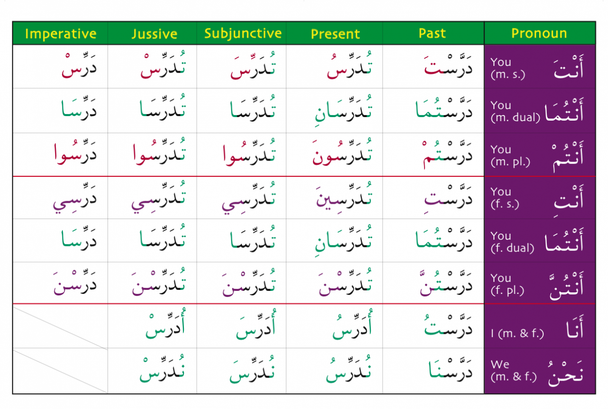 Gateway to Arabic Verb Conjugation Flashcards (Set Two)