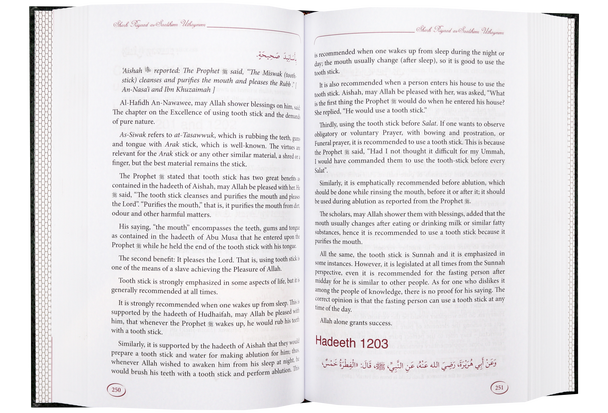 Explanation of Riyad-us-Saliheen Vol 5 Sharh Riyad-us-Saliheen