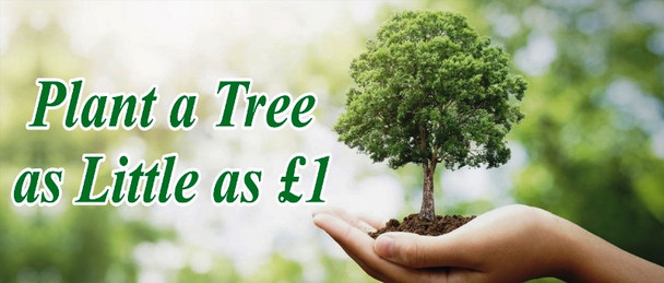 Plant A Tree As Little As £1 (25026)