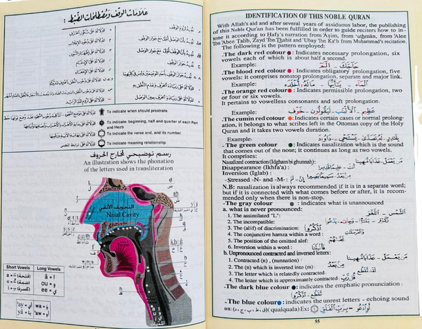 Tajweed Quran with Meaning Translation in English and Transliteration (Green Color) (25118)