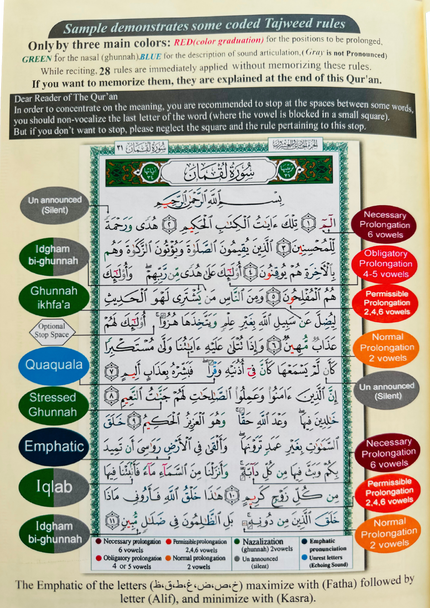 Tajweed Quran with Meaning Translation in English and Transliteration (Green Color) (25118)