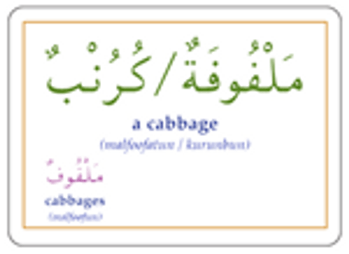 Gateway to Arabic Flashcards Set Three,9780956688224,
