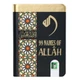 99 Names of Allah (Arabic / English with Meaning and Reference)