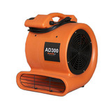AD300