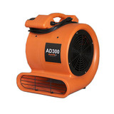 AD300