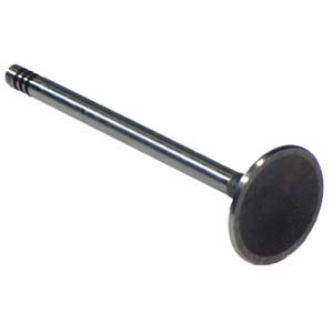  - Intake valve 169-0172