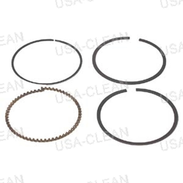  - Piston ring kit Spec D  standard 169-0253