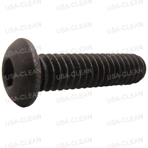  - Screw 1/4-20 x 1 button head socket plain finish 999-0229