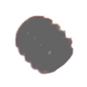 14241 - Screw 1/4-20 x 1/4 socket set black oxide 183-0742