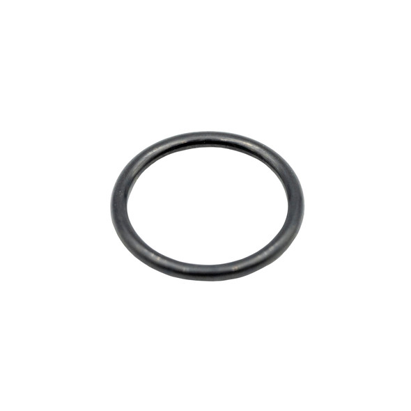 830155 - O-ring 174-9307
