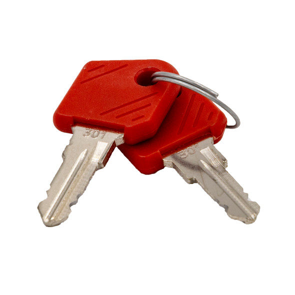 00745890 - Key (set of 2) 174-7079