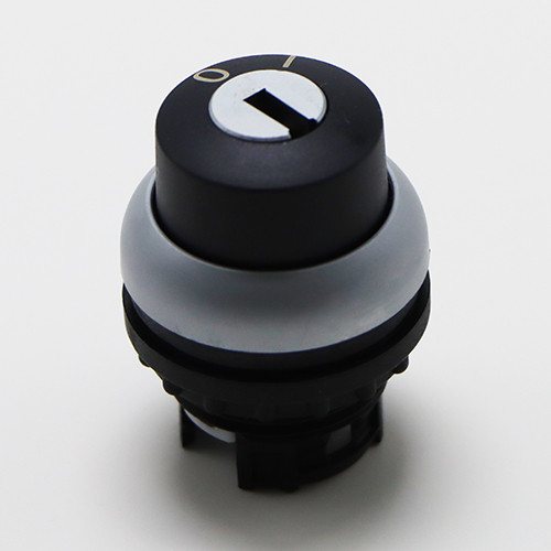 RM00044 - ESCATECH RM00044 Key switch
