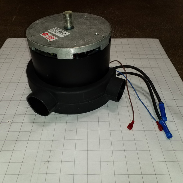 290-9501D - Burnisher motor 36V 202-2556