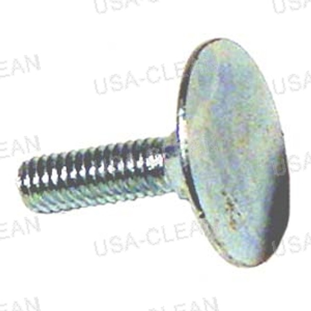 86197150 - Screw 5/16 x 1 1/4 elevator 173-2495                      