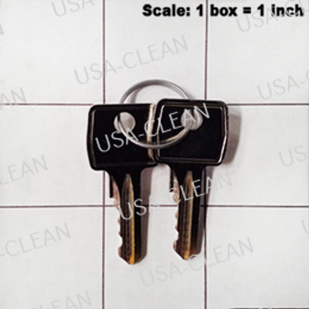 747617-K - Replacement key (set of 2) 174-8456