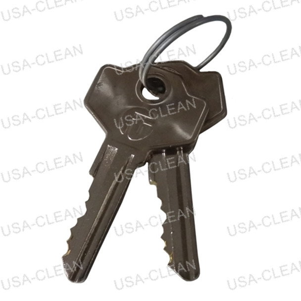 E8924300 - Replacement keys (set of 2) 189-8566
