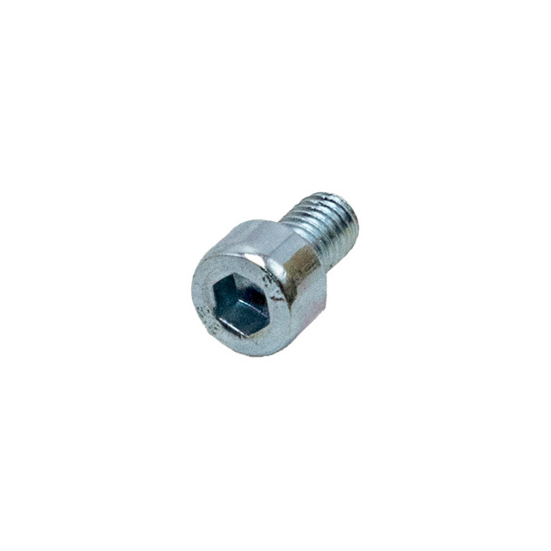 4019410 - Screw M5 x 8mm socket head cap 192-6485