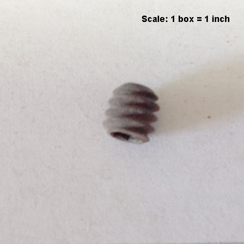  - Screw 10-24 x 3/16 cup point socket set alloy plain finish 999-0284