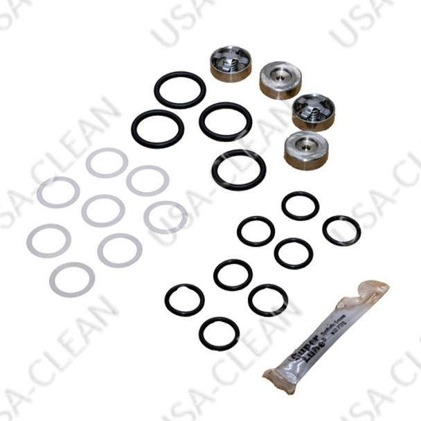 86201030 - Valve and o-ring kit 273-7611