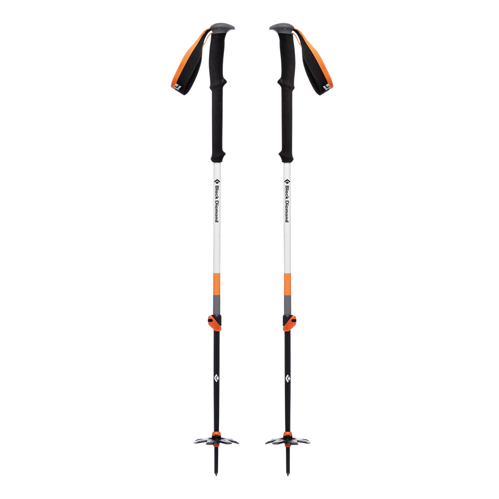 Expedition 2 Ski Poles