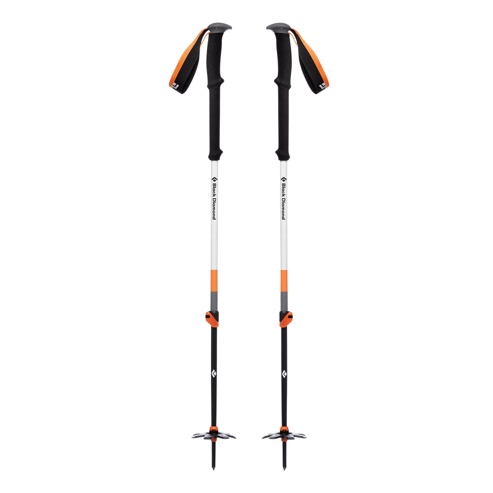 Expedition 2 Ski Poles