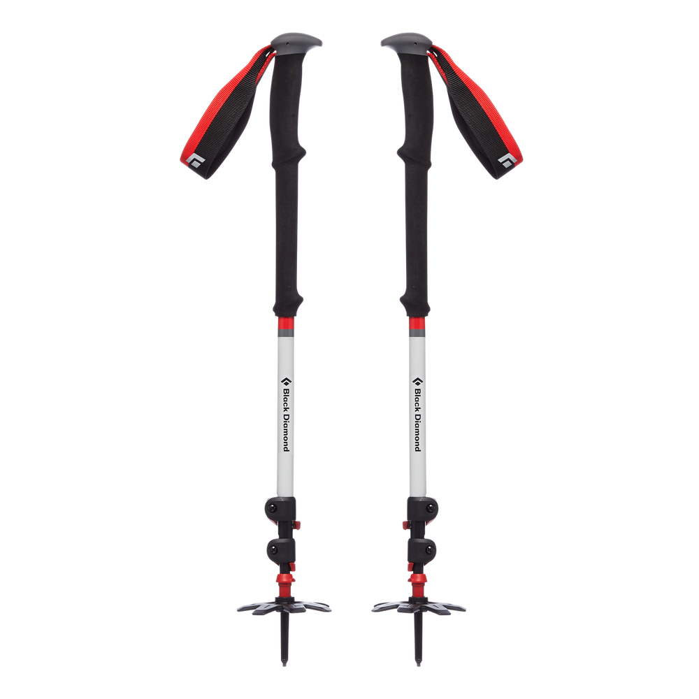 Expedition 3 Ski Poles