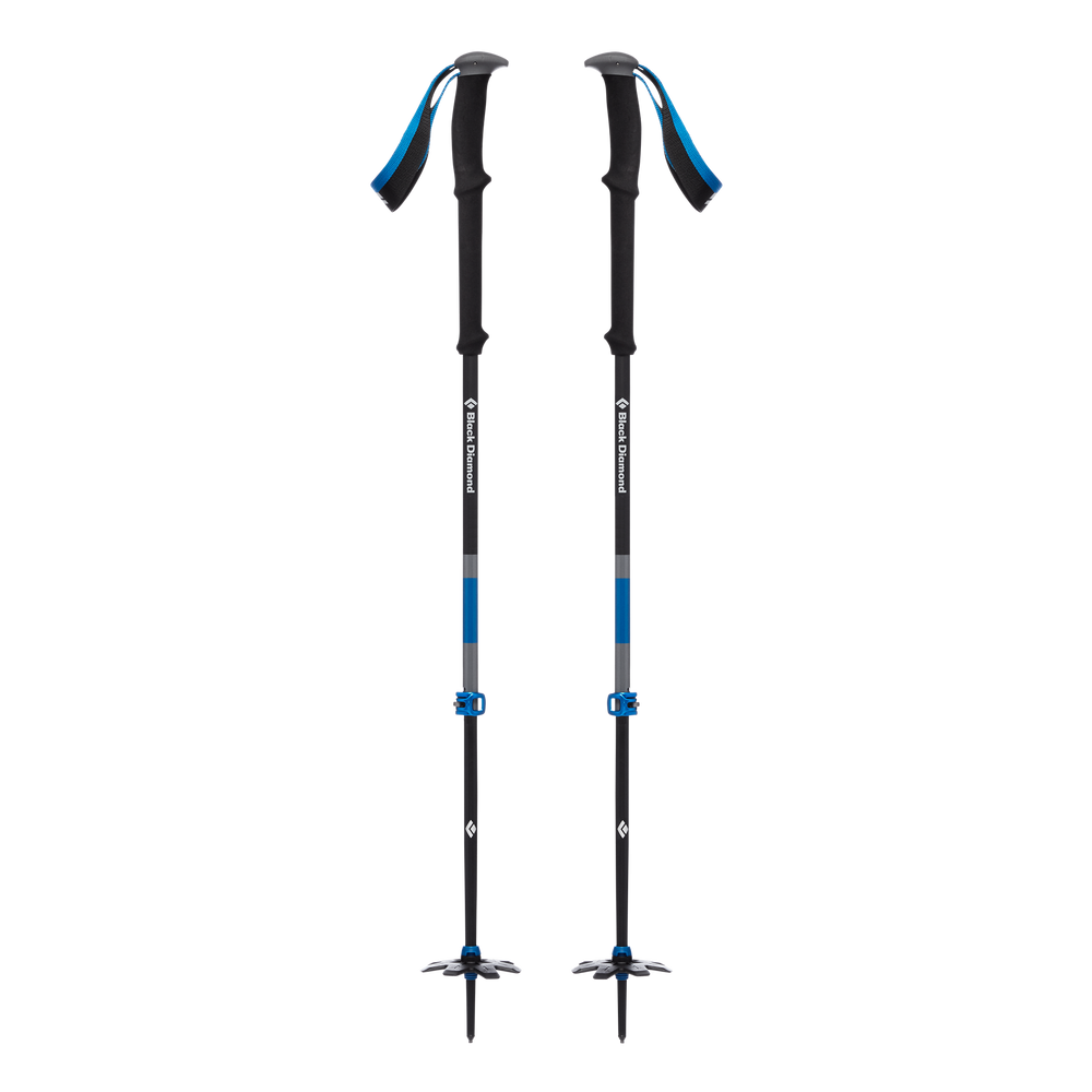 Expedition 2 Pro Ski Poles
