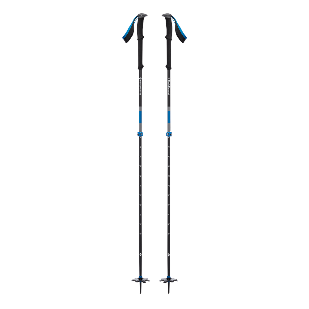 Expedition 2 Pro Ski Poles