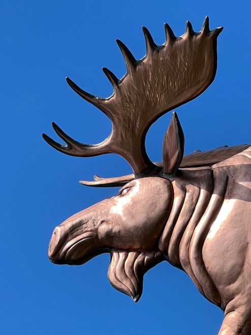 Bull Moose Weathervane