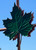 Green maple painted weathervane