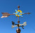 Dragon fly painted weathervane