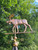 Bull Moose Weathervane