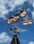 Three apples on branch weathervane
