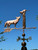 Cat and Dog weathervane