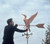 Dancing Loon Weathervane Pm-122