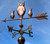 Owl Mom with Two Babies on arrow weathervane