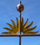 X Large Premium Sun Rise Weathervane