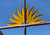 X Large Premium Sun Rise Weathervane