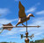 Large Landing Wood Duck with Arrow Weathervane