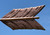 XXL Colossal Premium HW arrow with Classic Scroll
