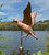 Large Wood Duck Weathervane No Arrow