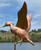 Large Wood Duck Weathervane No Arrow