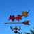 Painted Three Maple Leafs on a Branch weathervane