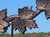 Three Maple  Leafs on a Branch, natural copper weathervane