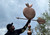 Large Apple Weathervane