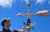 36" Premium HW "Gauge Scroll" Arrow Weathervane