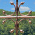36" Premium HW "Gauge Scroll" Arrow Weathervane