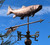 28" Trout Weathervane on a 30" Arrow